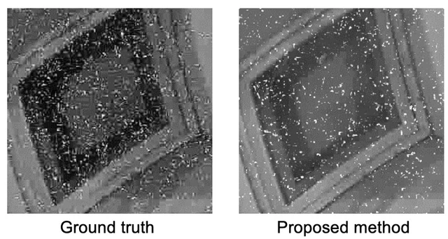 Gamma ray irradiation image noise and the simulated noise